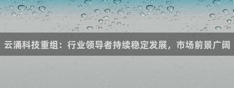 云涌科技重组：行业领导者持续稳定发展，市场前景广阔