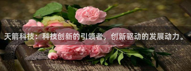 天箭科技：科技创新的引领者，创新驱动的发展动力。