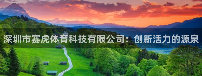 深圳市赛虎体育科技有限公司：创新活力的源泉