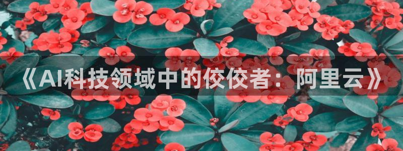 《AI科技领域中的佼佼者：阿里云》