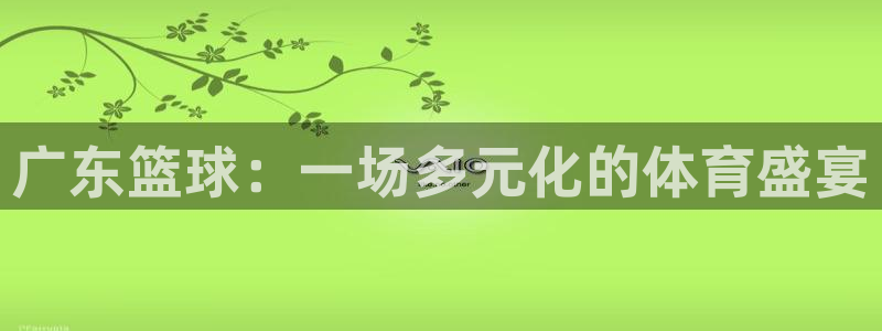 广东篮球：一场多元化的体育盛宴