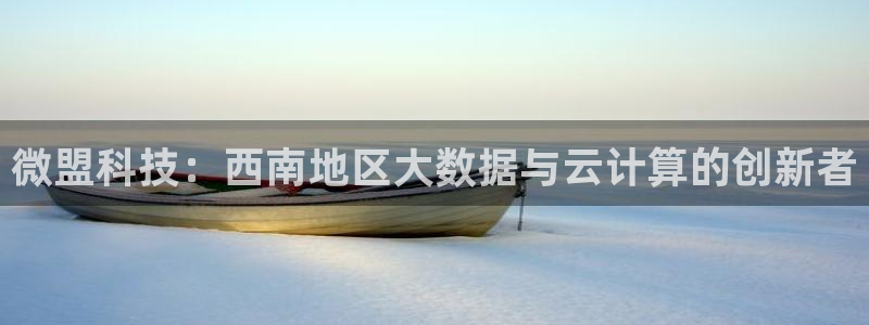 微盟科技：西南地区大数据与云计算的创新者