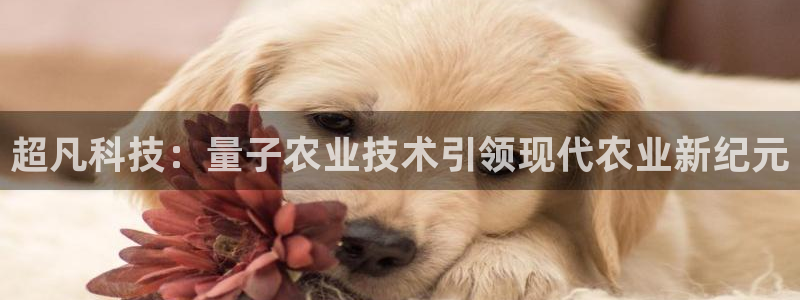 超凡科技：量子农业技术引领现代农业新纪元